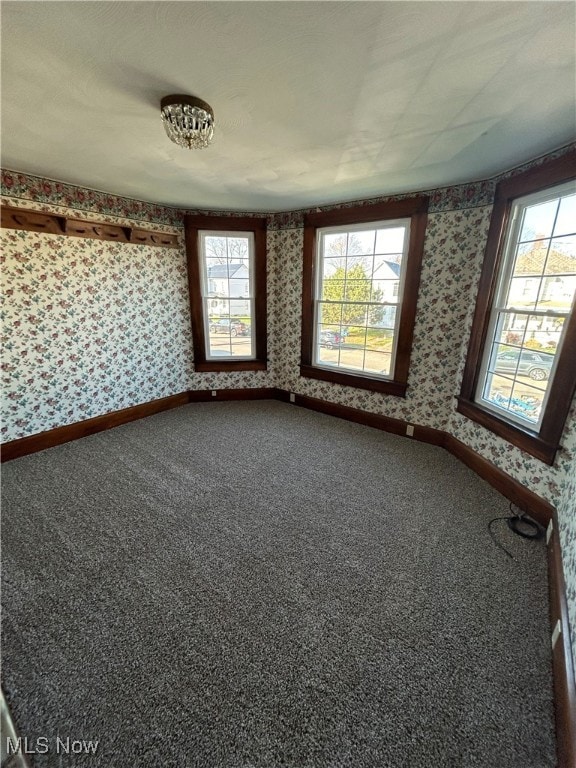 carpeted spare room with a wealth of natural light