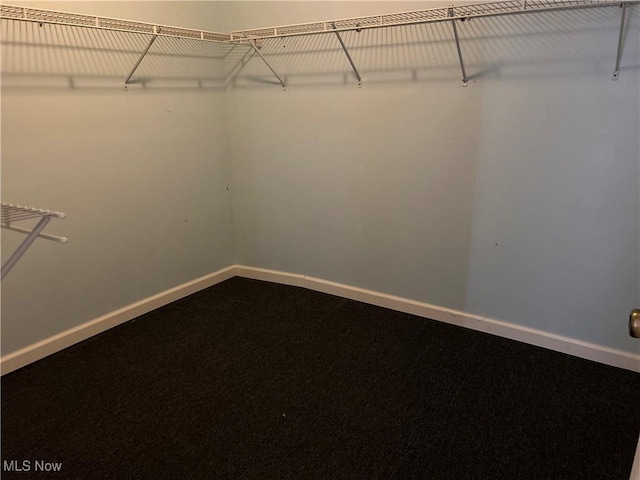 walk in closet with carpet