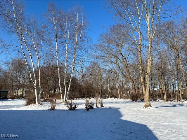 view of yard covered in snow