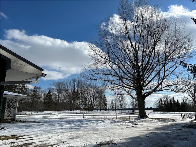 view of yard layered in snow