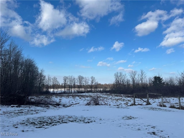 view of yard layered in snow