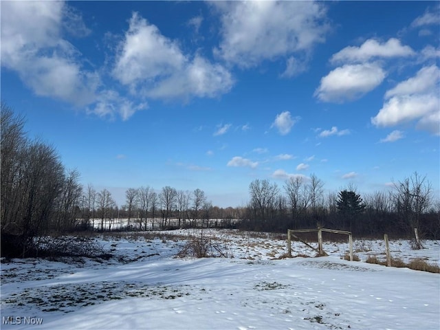 view of yard covered in snow