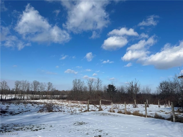 view of yard layered in snow