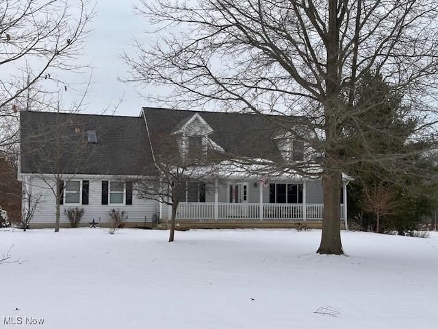 view of cape cod house