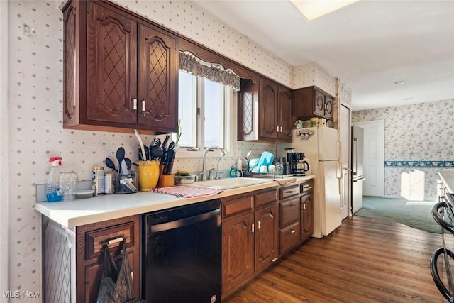 kitchen with sink, dark brown cabinets, dark hardwood / wood-style flooring, black dishwasher, and white fridge