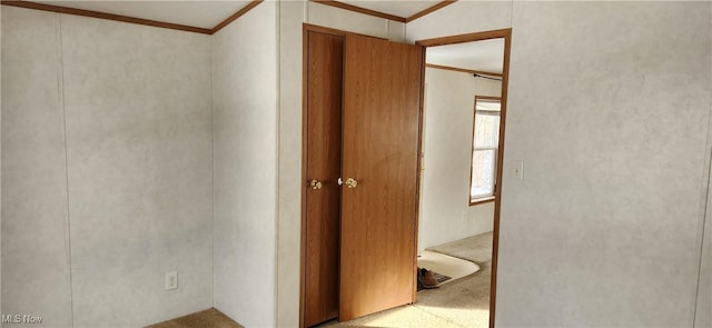 interior space with light carpet and crown molding