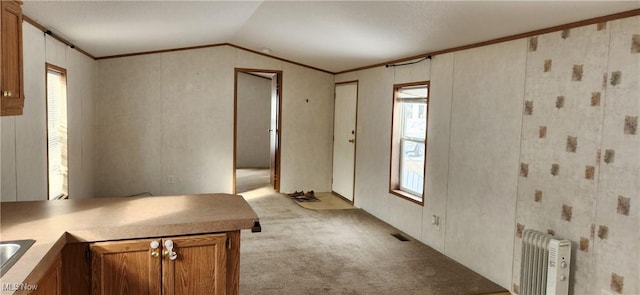 interior space featuring vaulted ceiling, radiator, light carpet, and ornamental molding