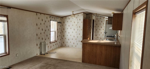 kitchen with light colored carpet, radiator heating unit, sink, and a wealth of natural light