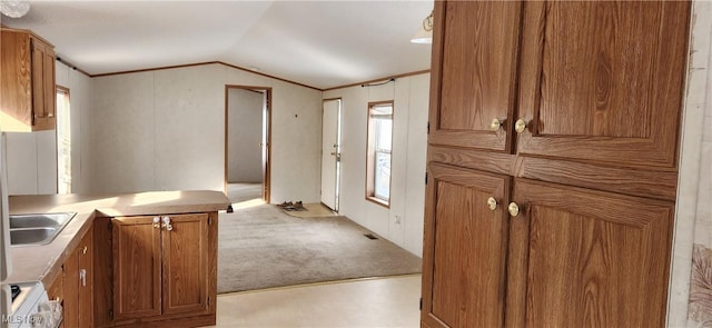 kitchen featuring lofted ceiling, sink, crown molding, light carpet, and stove