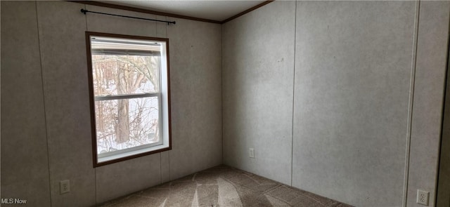 carpeted empty room featuring crown molding and a wealth of natural light