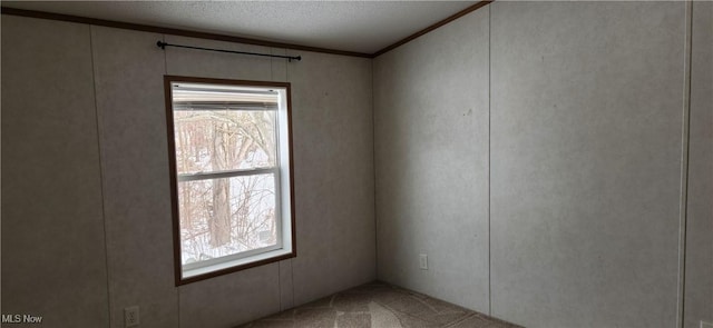 carpeted spare room featuring ornamental molding