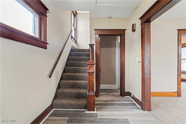 stairway with wood-type flooring