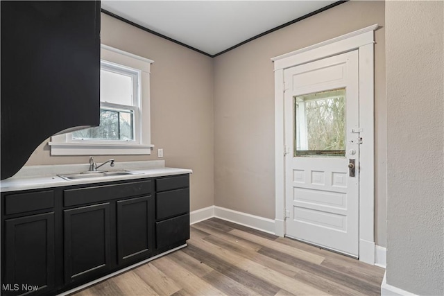 interior space featuring sink, ornamental molding, and light hardwood / wood-style floors