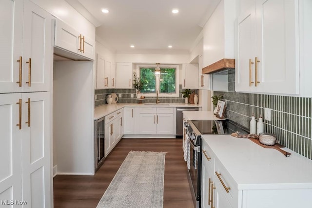 kitchen with premium range hood, sink, appliances with stainless steel finishes, decorative backsplash, and white cabinets