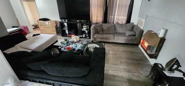 living room featuring hardwood / wood-style flooring