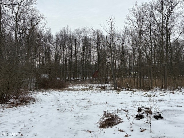 view of yard layered in snow