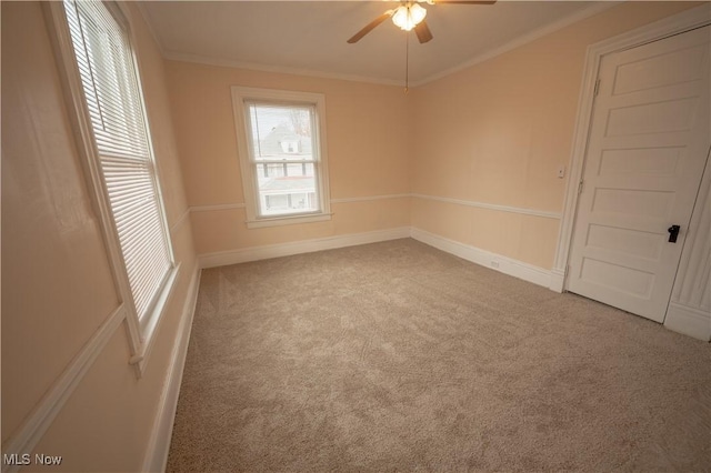 unfurnished room with ornamental molding, ceiling fan, and carpet