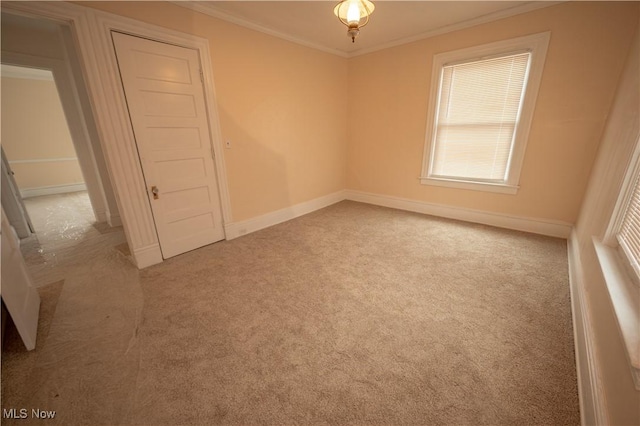 spare room featuring ornamental molding and carpet flooring