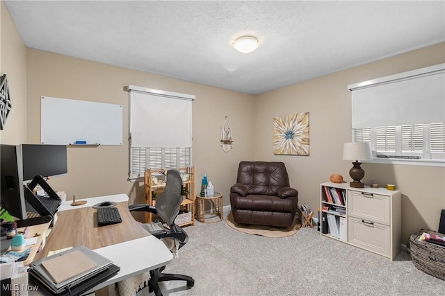 office space featuring a healthy amount of sunlight, a textured ceiling, and carpet flooring