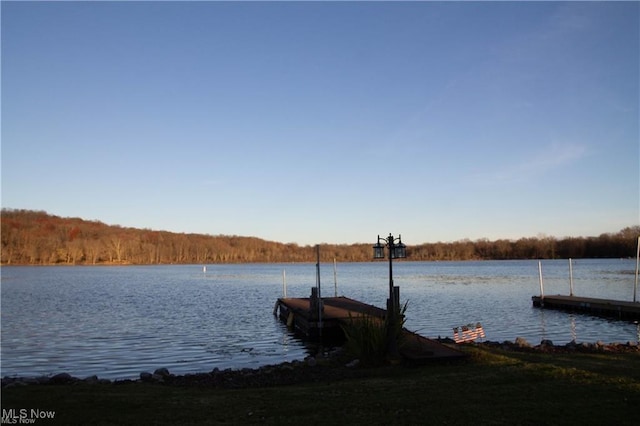 dock area with a water view