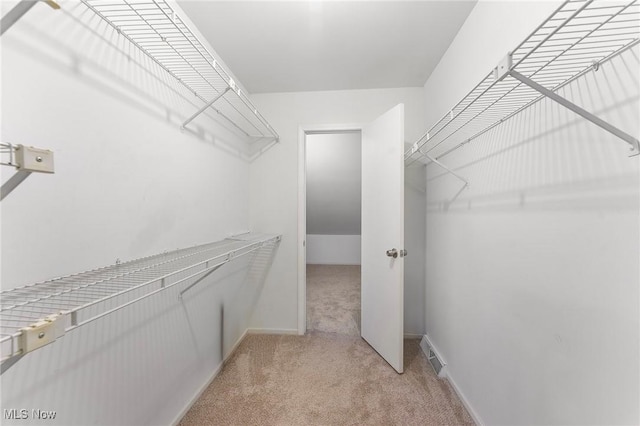 1260 Boardman-Canfield Rd # 29, Boardman, OH 44512 - walk in closet featuring light carpet