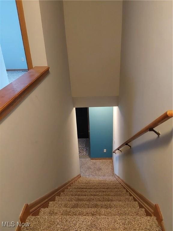 stairway with carpet floors