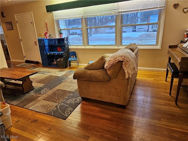 living room featuring wood-type flooring