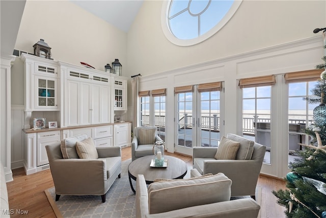 living room with light hardwood / wood-style floors and high vaulted ceiling