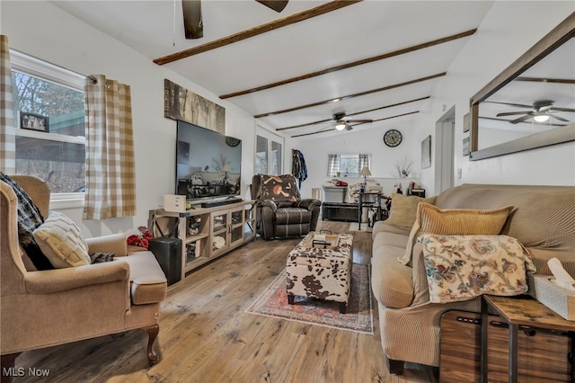 living room with vaulted ceiling with beams, light hardwood / wood-style flooring, and ceiling fan