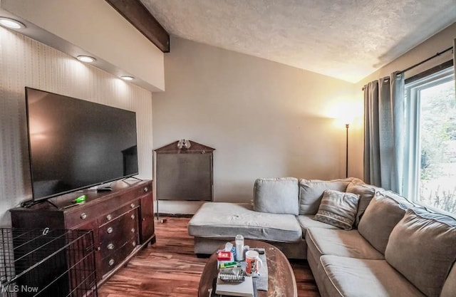 living room with hardwood / wood-style flooring, lofted ceiling with beams, and a wealth of natural light