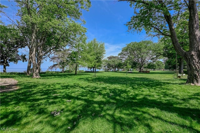 17728 Windward Rd, Cleveland, OH 44119 - view of green lawn