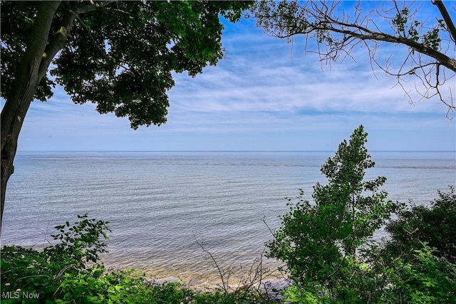 17728 Windward Rd, Cleveland, OH 44119 - water view