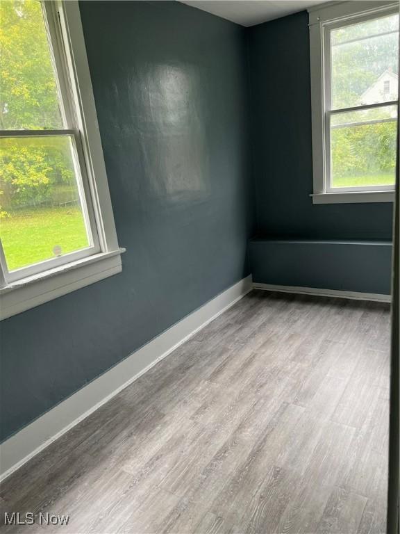 empty room featuring wood-type flooring