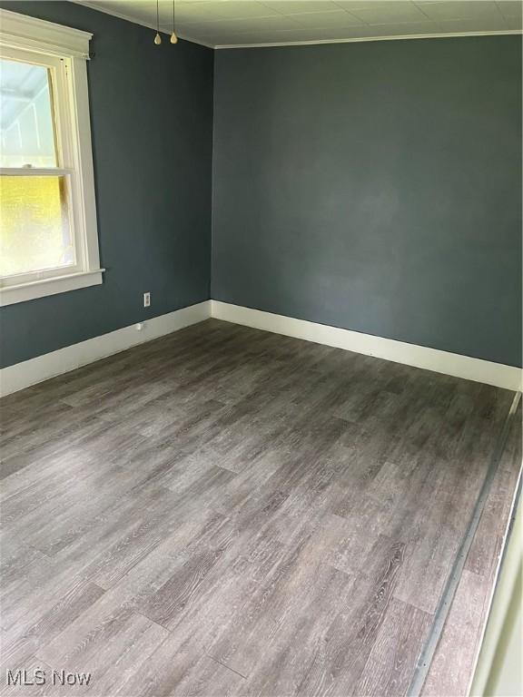 empty room featuring hardwood / wood-style flooring and crown molding