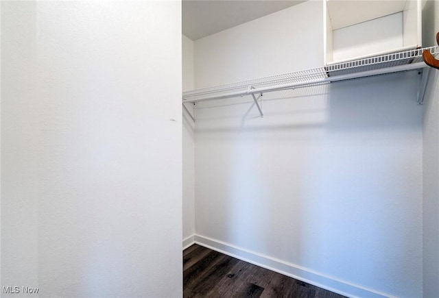 walk in closet featuring dark wood-type flooring