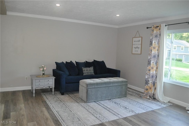 living room featuring hardwood / wood-style floors, crown molding, and a textured ceiling