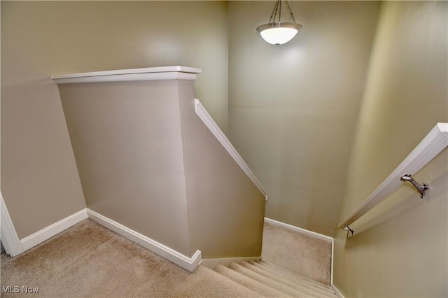stairway with carpet floors