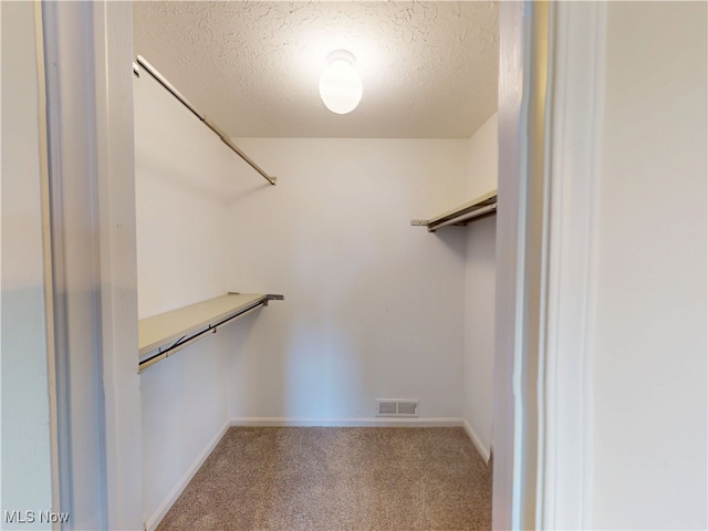 spacious closet featuring carpet