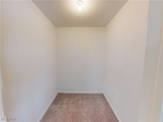 spare room featuring light carpet and a textured ceiling