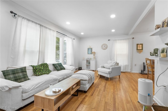 living room featuring crown molding and light hardwood / wood-style floors