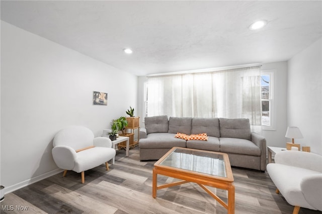 living room with light wood-type flooring