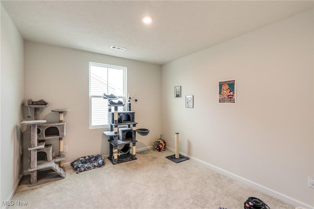 workout area featuring carpet flooring