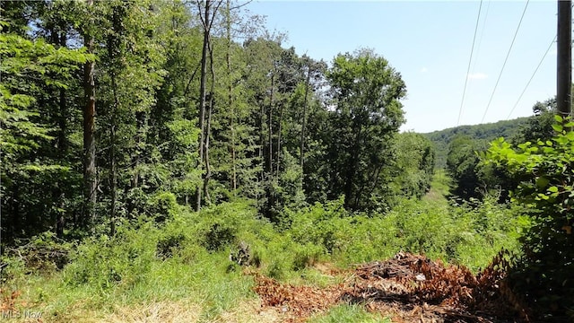 Listing photo 2 for TBD Glendale Rd, New Cumberland WV 26047