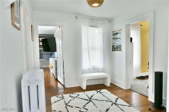 corridor featuring radiator heating unit, a wealth of natural light, and dark hardwood / wood-style flooring