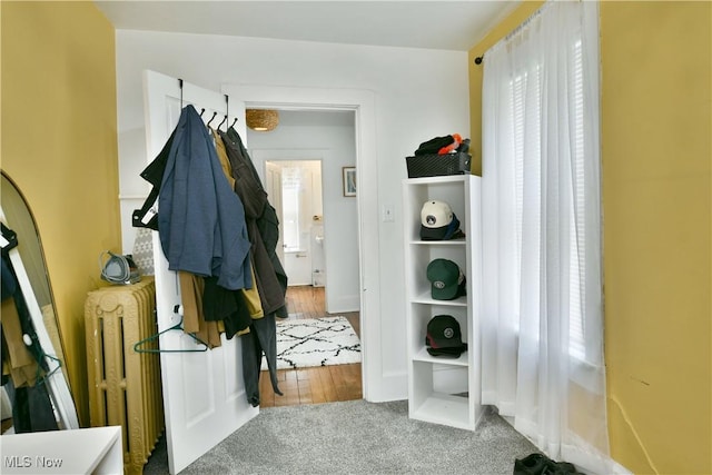 mudroom with carpet flooring and radiator