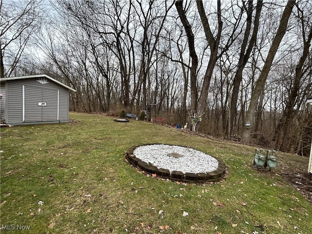 view of yard with a storage shed