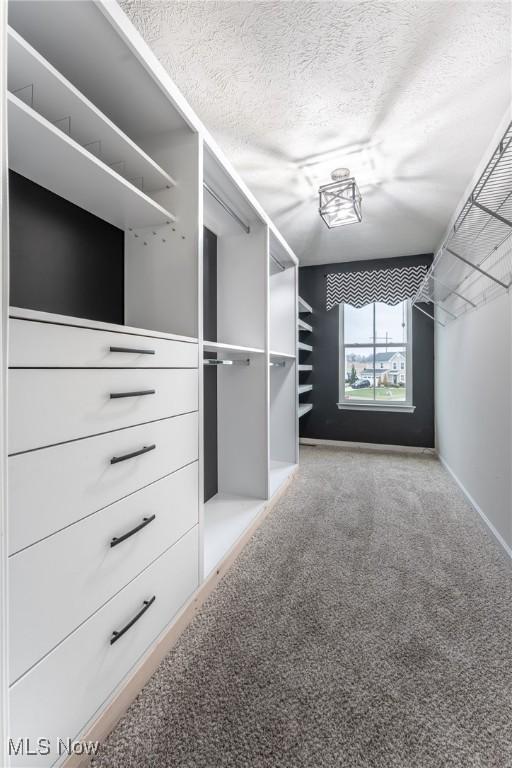 walk in closet featuring carpet floors