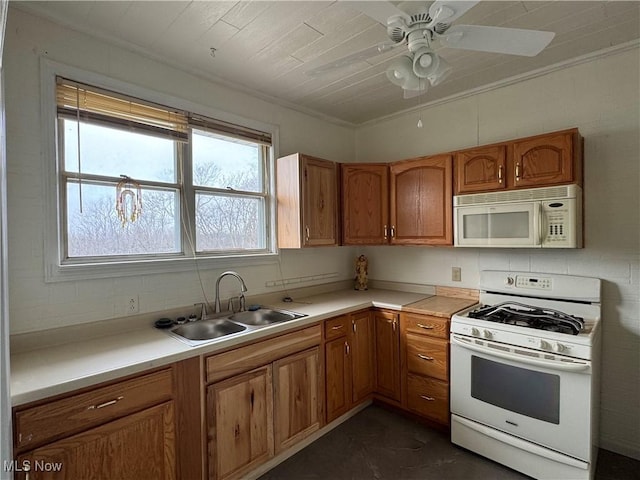 kitchen with sink, white appliances, and ceiling fan