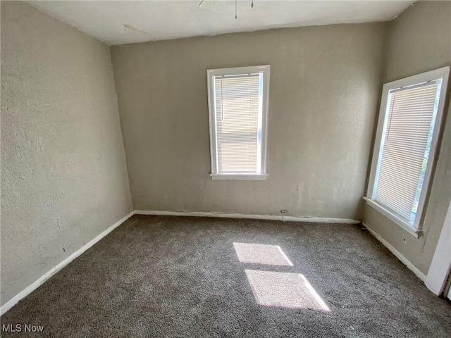 empty room with carpet floors and a healthy amount of sunlight