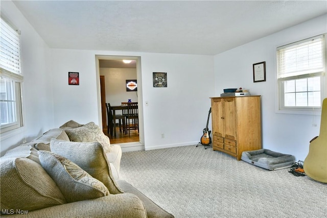 living area featuring carpet